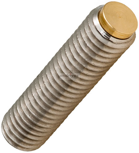 Stainless Steel Set Screws with Brass Tips